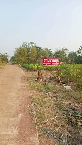 ขายที่ดินวิวภูเขา กาญจนบุรี เหมาะทำบ้านสวน รีสอร์ท หรือเก็บไว้ลงทุน