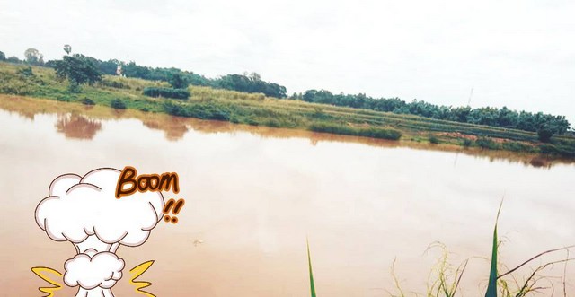 สรรหาทรัพย์ดีเพื่อคนไทย ขายที่สวยติดแม่น้ำน่าน ชุมแสง  จ.นครสวรรค์ 300000 บาท.วิวแม่น้ำเกษตรดีงามสวยสมบูรณ์