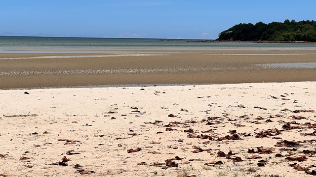 คุยง่ายขายคล่องให้ทางเลือก ขายที่ดินริมหาดสะพลีทรายขาวน้ำใสคราม สวยงามวิวทะเลธรรมชาติสุดสุด ปะทิวใกล้หาดสวยทุ่งวัวแล่น