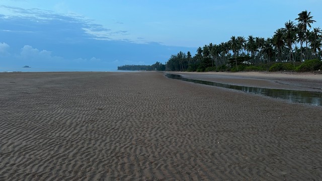 คุ้มค่าน่าลงทุนทรัพย์ในดิน ที่ติดทะเล ฝั่งแดง ขายราคาไร่ล่ะ 3.5 ล้านบาท โฉนดครุฑแดง พร้อมโอน