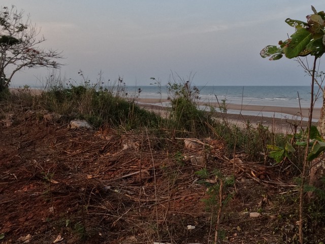 แนะนำซื้อขายอสังหาดีดี ที่ติดทะเลหาดผาแดงฝั่งแดง ประจวบ  ดูแลหลังการขาย  โฉนดพร้อมโอน บางสะพานน้อยที่ริมเล
