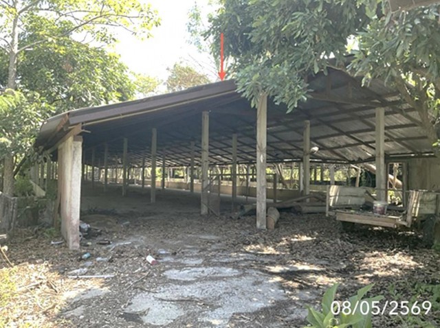 ขายโกดัง เชียงราย ถนนสายบ้านเวียงเดิมบ้านไตรแก้ว อำเภอเวียงชัย