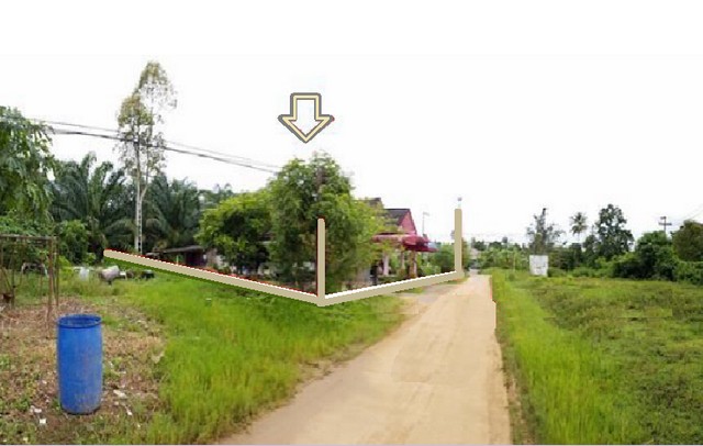 ขายบ้านเดี่ยวชั้นเดียว ถนนสุขาภิบาล15 •วังไผ่ •เมืองชุมพร •ชุมพร