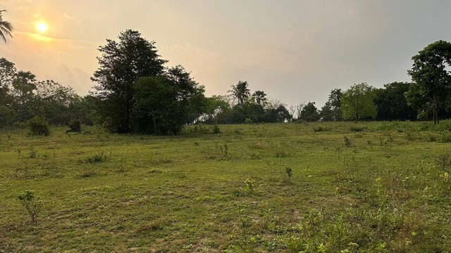 สรรหาทรัพย์ดีเพื่อคนไทย ที่ติดทะเล ฝั่งแดง ขายราคาไร่ล่ะ 3.5 ล้านบาท โฉนดครุฑแดง พร้อมโอน