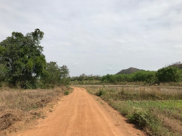 DSL-031 ขาย ที่ดิน ที่ดิน บ้านนาค้อ ปากชม จ.เลย 7 ไร่ 3 งาน 3143 ตร.วา เลย    ปากชม