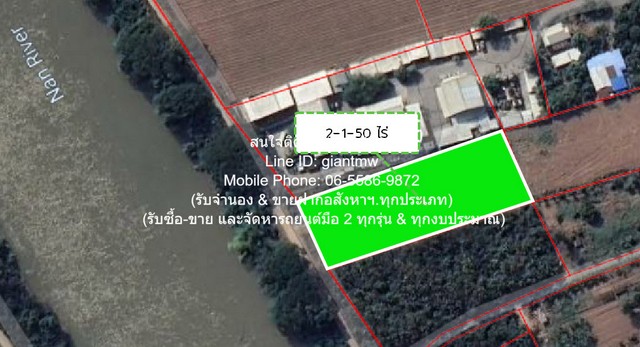 DSL-366 ขาย ที่ดิน ขายที่ดินถมแล้วติดถนน (ติดแม่น้ำน่าน) อ.เมืองพิษณุโลก จ.พิษณุโลก 2-1-50 ไร่ (950 ตร.ว.) ราคา 3562500 บาท  3562500 บาท 2 ไร่ 1 งาน 950 ตารางวา ใกล้กับ มหาวิทยาล