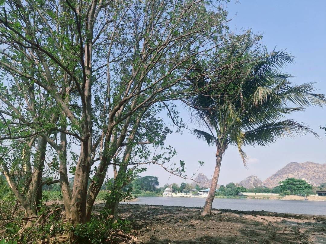 ขายที่ดิน ริมน้ำในเมืองโอกาสแบบนี้ไม่ได้มีบ่อย — แปลงใหญ่ วิวภูเขา ติดแม่น้ำแควน้อย