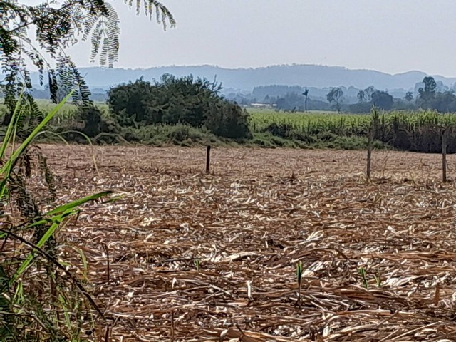 คุ้มค่าน่าลงทุนทรัพย์ในดิน ที่ปากช่อง 2ไร่- 8ไร่ โฉนด ต.วังไทร อ.ปากช่อง จ.นครราชสีมา ไร่ละ  2.9 ลบ.สูงจากระดับน้ำทะเลมาก น้ำไฟพร้อม