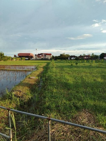 ที่ดินแปลงใหญ่ ทำเลศักยภาพ 25000 บาท/ตร.วา แม่เหียะ