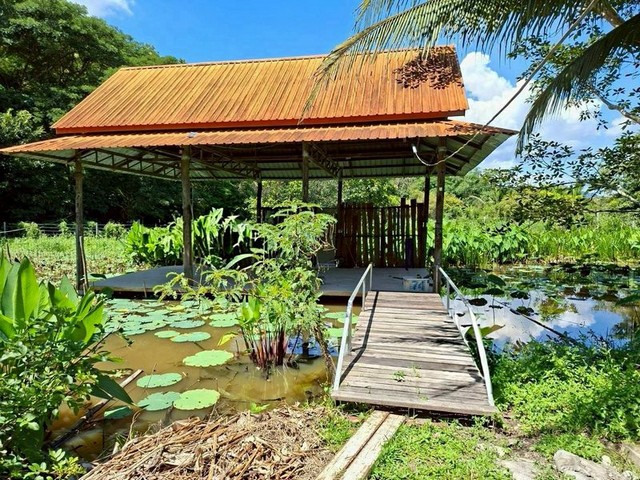 บ้านพร้อมที่ดินผืนใหญ่ ริมน้ำ วิวดอย บรรยากาศดีมาก แม่แตง