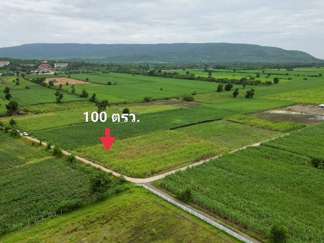 1 ขาย ที่ดิน ถูกสุด ที่วิวเขา ติดถนนคอนกรีต1แสนบาท 100ตรว. วังเพลิน โคกสำโรง ลพบุรี T .086-301-6161 ลพบุรี    โคกสำโรง    100 ตารางวา