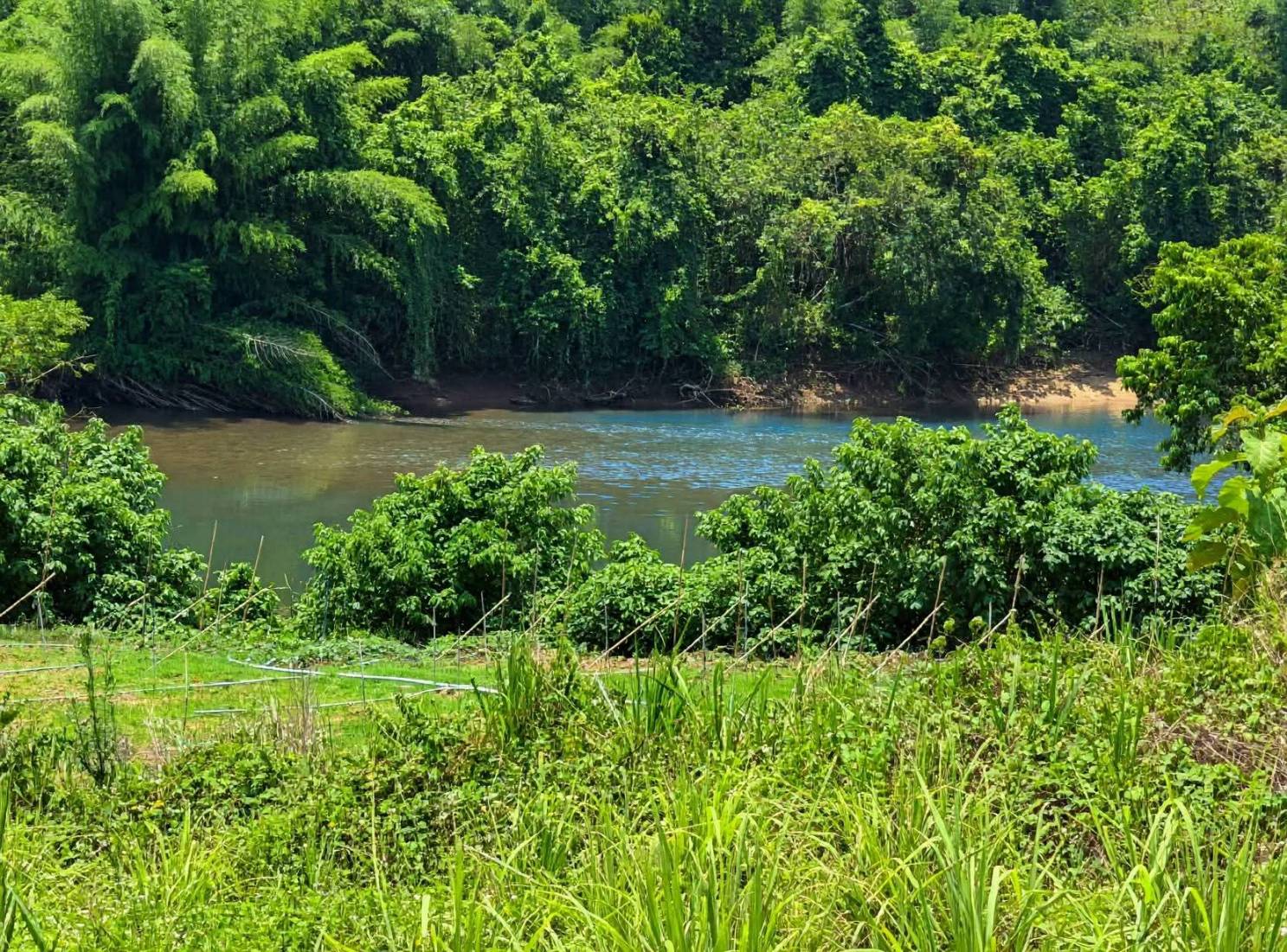 ขายที่ดินเปล่า ทำเลดี วิวภูเขาและวิวแม่น้ำ อำเภอไทรโยค จังหวัดกาญจนบุรี 71150