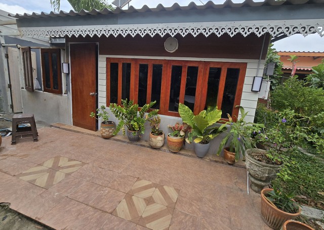 ให้เช่าบ้านในสวน บ้านชั้นเดียว อยู่อำเภอบางเลน จังหวัดนครปฐม