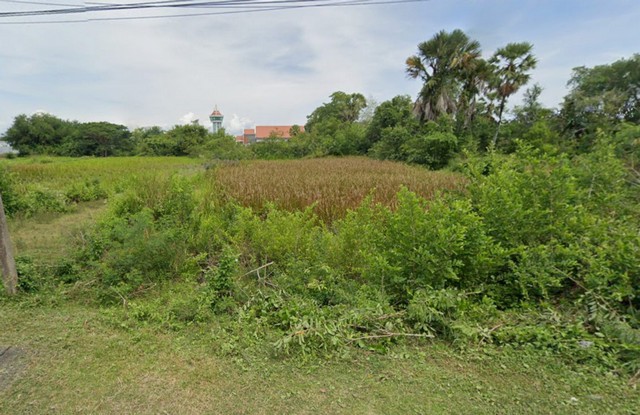 ขายที่ดินยกแปลง 1 งาน 33.0 ตารางวา ครุฑแดง อำเภอระโนด จังหวัดสงขลา