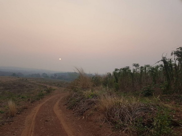 ฝากทรัพย์ดีดีไว้ให้พิจารณานะคะ ที่ดินโฉนดแบ่งขายหล่มเก่าที่ดินบนเนินเขาวิวงาม  หล่มเก่า เพชรบูรณ์ ใกล้ภูทับเบิก