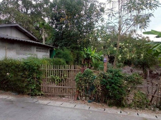 ที่ดินทำเลดี เดินทางสะดวก บรรยากาศชุมชน บ้านแหวน หางดง