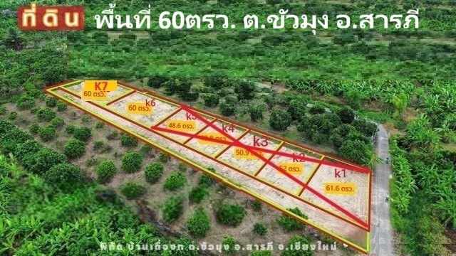 ขายที่ดินแบ่งจัดสรร 60ตรว. ลดเหลือ 294000บ. ฟรีโอน ถนน น้ำ ไฟฟ้า ใกล้วัดขัวมุง ต.ขัวมุง อ.สารภี เชียงใหม่
