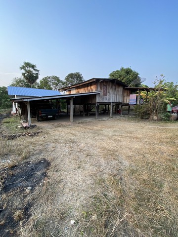 พร้อมโอนบ้านไม้ยกพื้นสูงค่ายระจันเมืองสิงห์ 262 ตารางวา จังหวัดสิงห์บุรี   ต.โพทะเล วิถีไทย 262 วา ต.โพทะเล อ.ค่ายบางระจัน