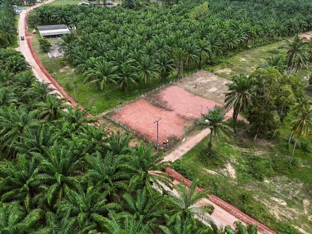 สรรหาทรัพย์ดีเพื่อคนไทย ขายที่ดินใกล้หาดบางเบิด ติดถนนทางหลวง ใกล้หาด1 กม. +ขนาดที่ดิน 50-1-18 ไร่ โฉนดครุฑแดง พร้อมโอน ไร่ล่ะ 8 แสน