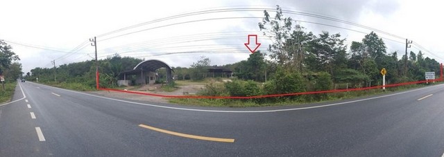 ที่ดินว่างเปล่า ถ.ทางหลวงชนบทสายสะพานไม้แก่นตก-บ้านวังโต้ นาทวี-สงขลา