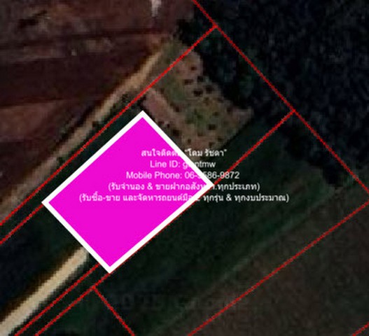 DSL-364.3 ขาย ที่ดิน ขายที่ดินไร่สวนทางการเกษตร (ติดถนน และติดเขา) ใกล้กับ จุดชมวิวเขาช่องลม เขาช่องลม 1 ไร่ 400 ตร.วา 530000 บาท อุทัยธานี