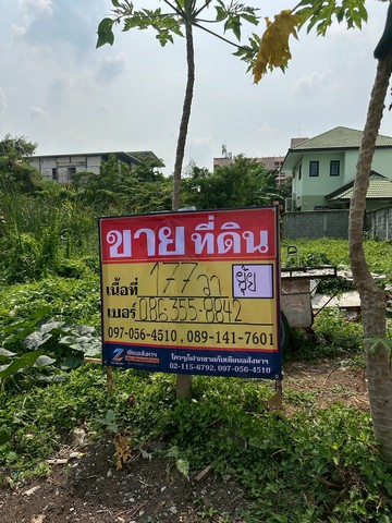 ขายที่ดิน  177 ตารางวา  ถมแล้ว   ซอยอ่อนนุช66 แยก 1  ถนนศรีนครินทร์   ประเวศ      ZT900