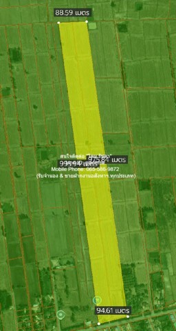 DSL-609 ขาย ที่ดิน ขายที่ดินทุ่งนาแปลงใหญ่ติดถนนใหญ่ อ.วังทอง จ.พิษณุโลก 53-3-98 ไร่ ราคา 13498750 บาท (250000 บาท/ไร่) 53 ไร่ 3 งาน 21598 ตร.วา ชั้นทั้งหมด 1 ชั้น ใกล้กับ สวนน้