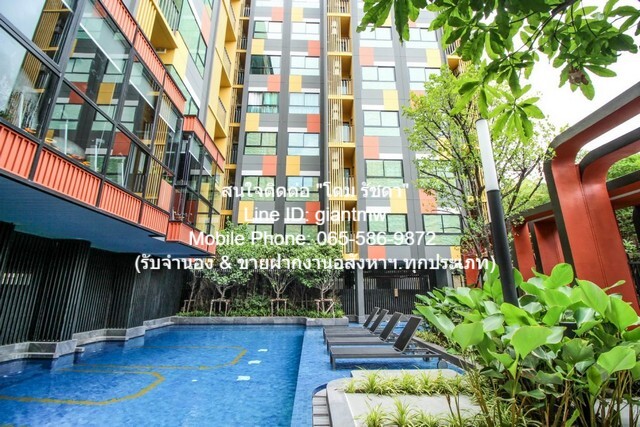CONDOMINIUM Plum Condo Sukhumvit 97.1 พลัมคอนโด สุขุมวิท 97.1 26 Square Meter 1 BR 1 BR 13000 - Special Stock กรุงเทพ