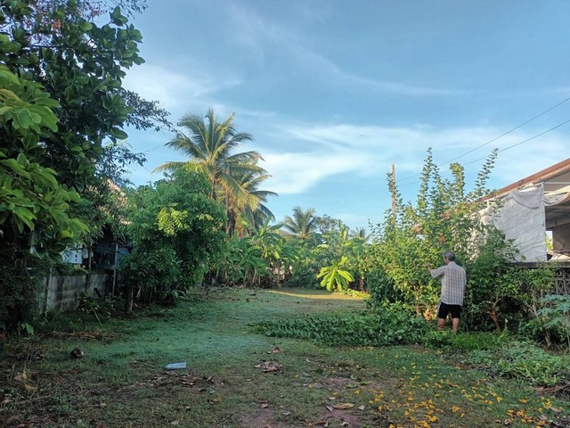 ขายที่ดินสวย 1 ไร่ 1 งาน 70 ตร.ว. @สูงเนิน จ.นครราชสีมา หมาะสร้างบ้าน รีสอร์ต โกดัง หรือทำเกษตร บรรยากาศดีมาก!