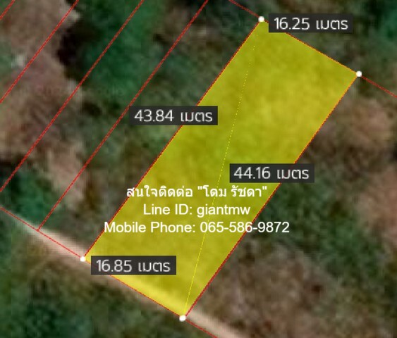 ที่ดิน ที่ดินเกาะพีพี จ.กระบี่  ทำเลดี