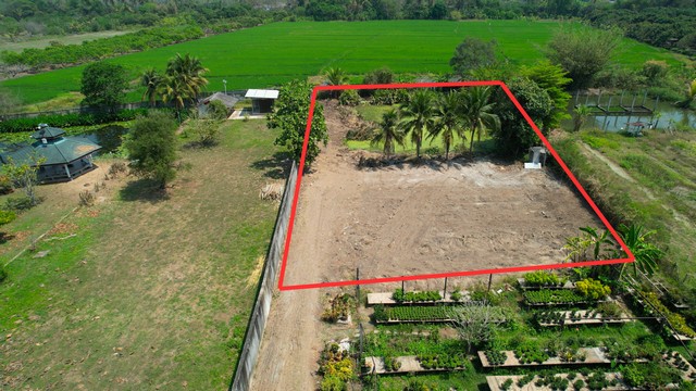 ขายที่ดินสารภี ใกล้เมืองเชียงใหม่ เริ่มต้น 70.25 ตร.ว. เหมาะสร้างบ้าน