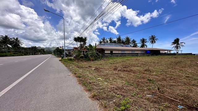 สรรหาทรัพย์ดีเพื่อคนไทย ขายที่ดินริมหาดสะพลีทรายขาวน้ำใสคราม สวยงามวิวทะเลธรรมชาติสุดสุด ปะทิวใกล้หาดสวยทุ่งวัวแล่น