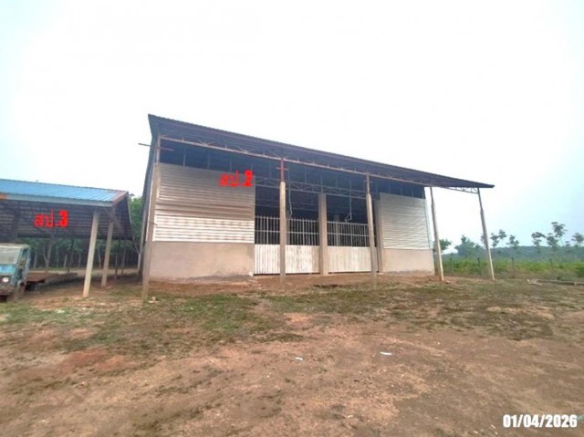 ขายโกดังชั้นเดียว จังหวัดบึงกาฬ ตำบลหอคำ อำเภอเมืองบึงกาฬ