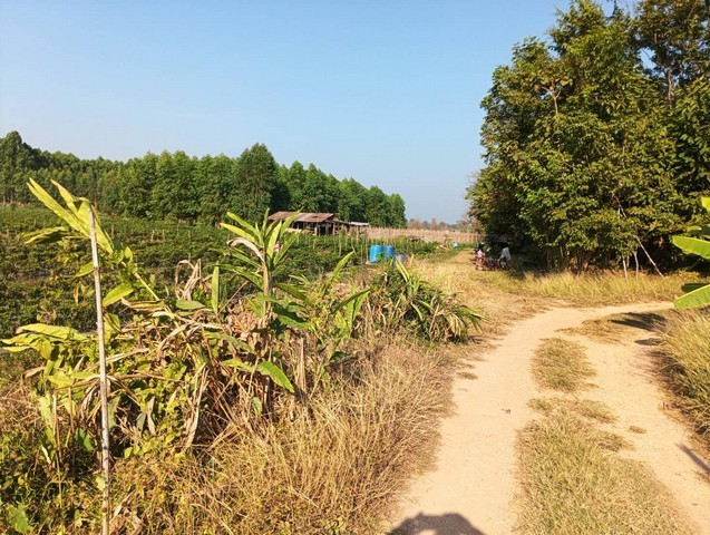 คุ้มค่าน่าลงทุนทรัพย์ในดิน ที่ติดแม่น้ำโขง ต.กุดบง อ.โพนพิสัย จ.หนองคาย  หลังติดแม่น้ำโขง ไร่ละ 2ล้านบาท โทร 096-882-1857