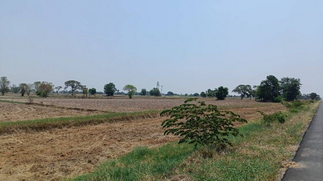 ขายที่ดิน 11 ไร่ 2 งาน 39 ตารางวา เจ้าของขายเอง  จังหวัดสุรินทร์