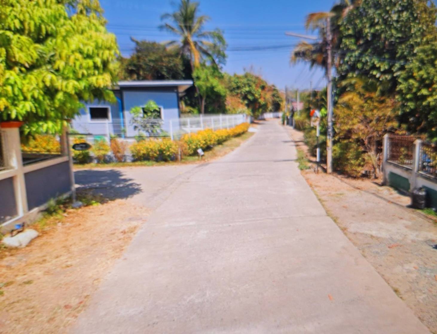 ขายที่ดินเปล่า 113 ตรว. ใกล้ถนน 118 (เชียงใหม่-สันป่าสัก) อ.ดอยสะเก็ด จ.เชียงใหม่