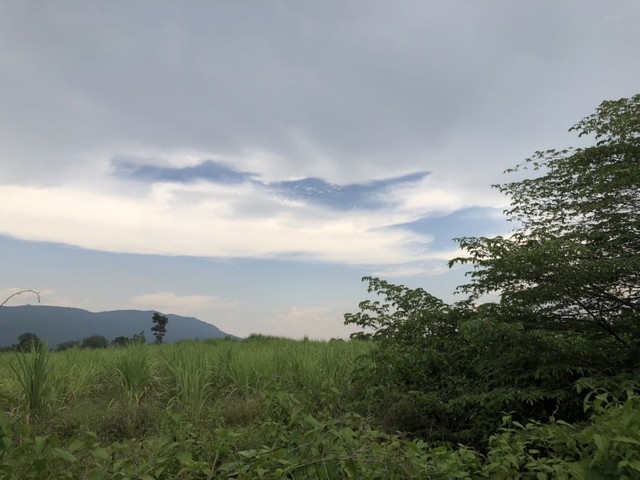 บอกขายที่ดินทำเลดีราคาคุยได้  ขายที่ดินสวยติดภูเขา เทือกเขายาวเรียงแนว ดินดีสมบูรณ์ทรัพย์ในดิน ฟ้าใสวิวหลักล้าน ต.นาจาน อ.สีชมพู จ.ขอนแก่น