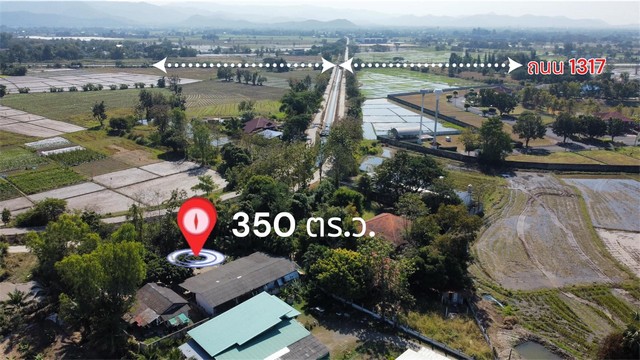 ขายที่ดินพร้อมสิ่งปลูกสร้าง วิวทุ่งนา ใกล้ถนนหลวง 1317 สันกำแพงสายใหม่