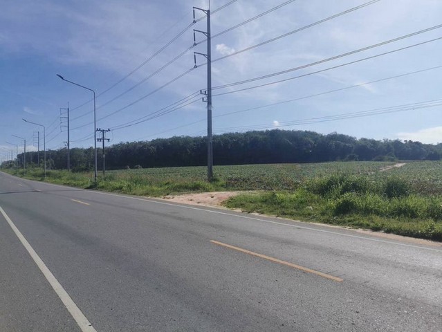 ขายที่ดินแปลงสวย ทำเลดี โซนนิคมพัฒนา ระยอง FP-L01604