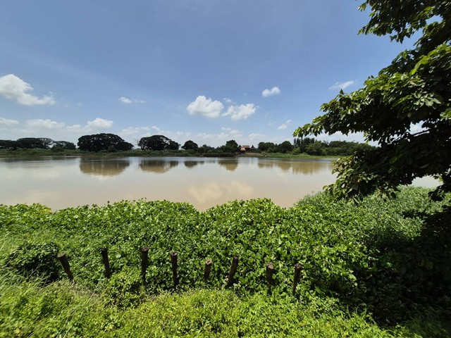 ที่ดิน ติดแม่น้ำน้อย พร้อมบ้าน บางไทร อยุธยา ที่ดิน  4-3-64 ไร่ ตารางวาละ 30000 บาท