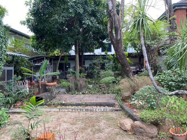 ให้เช่าบ้านเดี่ยว 2 ชั้น 200 ตร.ว. ซอยลาดพร้าว 128 ใกล้ BTS ลาดพร้าว 101