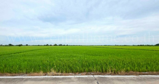 ที่ดินเปล่า สีม่วง 6-1-89 ไร่ คลองนิยมยาตรา บางบ่อ สมุทรปราการ ทำเลดี