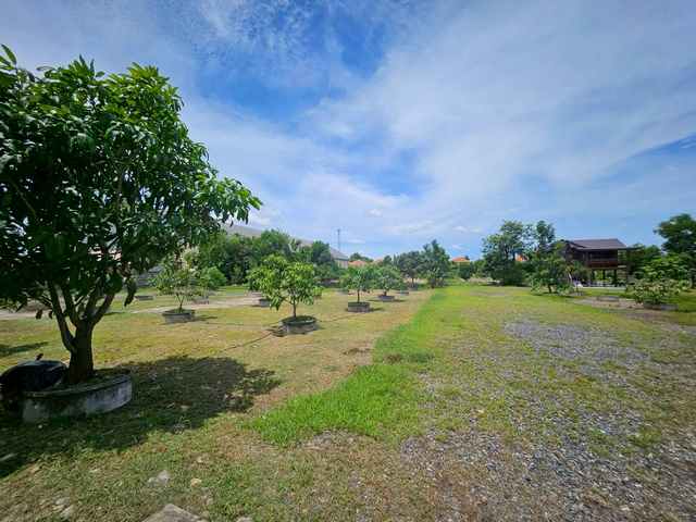 ขายที่ดิน รังสิต คลอง 2 ซอยบงกต 33 คลองหลวง ถมแล้ว แปลงสวย ขนาด 6 ไร่ ราคา 39000000