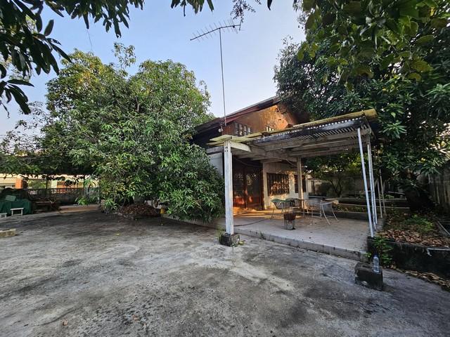 LS 953 ให้เช่าที่ดินแปลงมุม 202 ตรว. ย่านธุรกิจ ซอยวชิรธรรมสาธิต 23 สุขุมวิท 101/1 มีที่จอดรถ ติดถนน 2 ด้าน