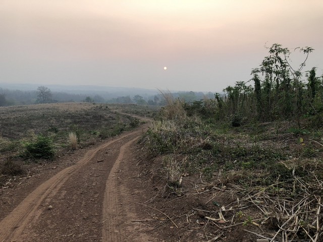 เล็งทรัพย์ดีเก็งเก็บอนาคต ธรรมชาติเนินเขา ที่ดินโฉนดแบ่งขาย หล่มเก่า เพชรบูรณ์ ใกล้ภูทับเบิก โทร 0968821857