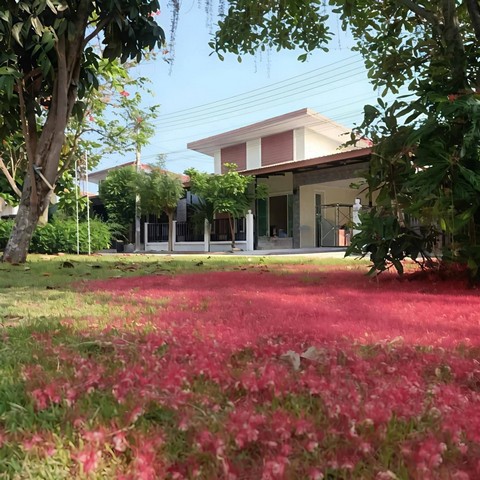 ให้เช่าบ้านเดี่ยวหลังใหญ่พนัสชลบุรี สิรัชชา พาร์ค  ใกล้นิคมอมตะพานทองชลบุรี  เฟส 8910 บ้านอยู่หน้าสวน​บรรยากาศดี