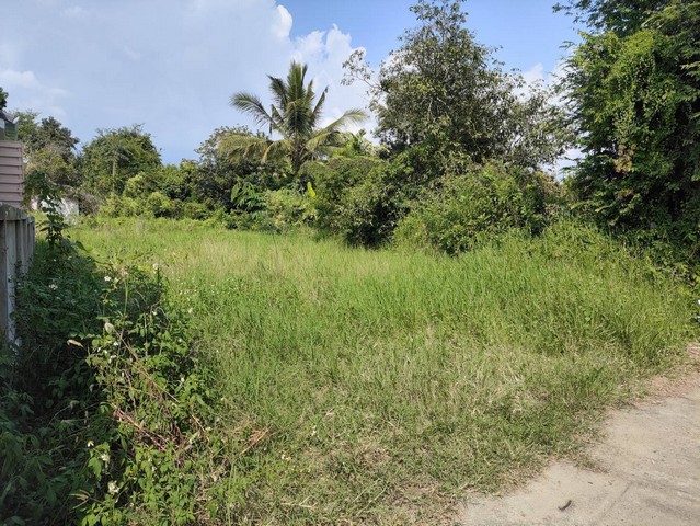 ขายที่ดินเปล่าสันกำแพง ต.ต้นเปา จ.เชียงใหม่ เนื้อที่ 122 ตารางวา