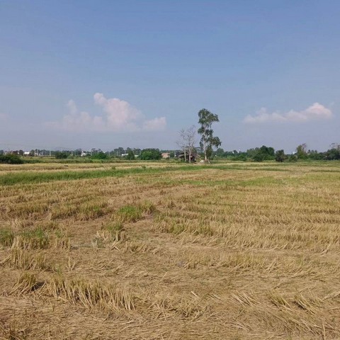 ขายที่ดินแปลงสวย ทำเลดี เขตบึง ศรีราชา ชลบุรี FP-L01888