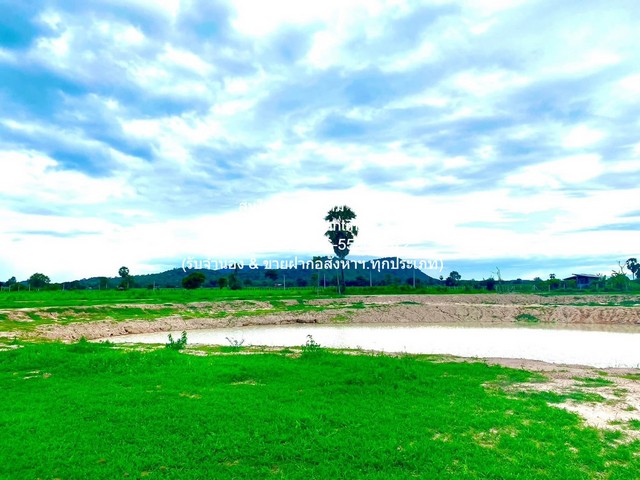 พื้นที่ดิน ขายที่ดินจัดสรรแปลงใหญ่ พร้อมทะเลสาบ (ติดถนนหลัก และติดถนนรอง) อู่ทอง จ.สุพรรณบุรี 60-3-0 ไร่ ราคา 23 ล้าน 24030 SQ.WA  23000000 บาท ใกล้ เซ็นทรัล เวสต์เกต 120 กม. (1.5 ชั่วโมง) ลดแบบสุดๆ