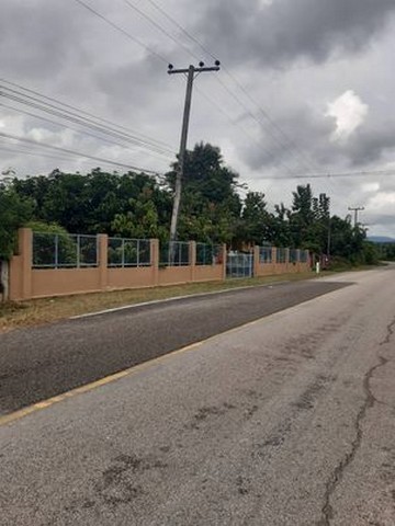 ขายที่ดิน 3-2-11ไร่ 1.8ล้านบาท ไฟฟ้า น้ำประปา สวนมะม่วง ลำไย ต.ดอยหล่อ อ.ดอยหล่อ เชียงใหม่